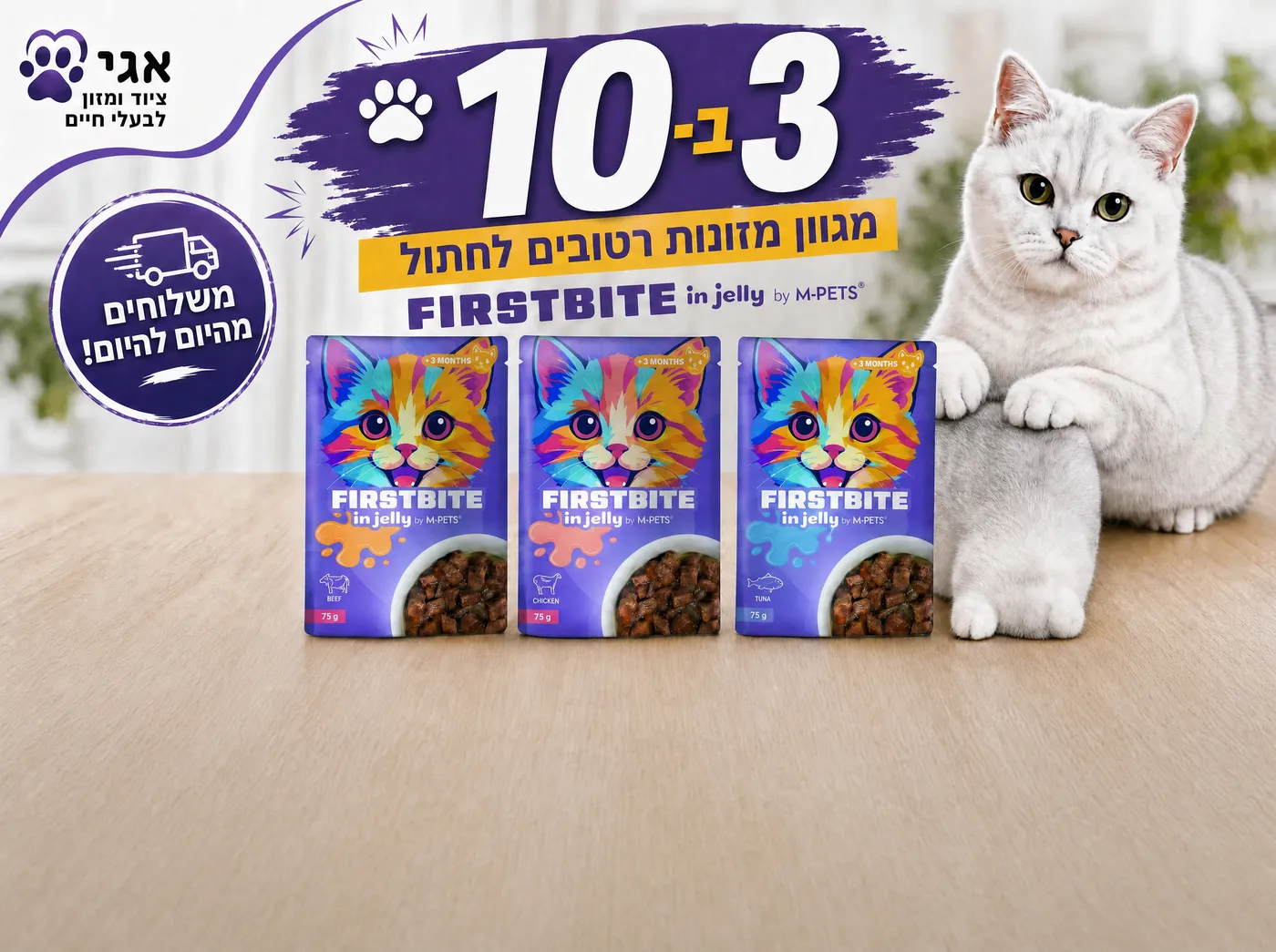 מבצע 3 ב-10 על מגוון מזונות רטובים לחתול FirstBite in jelly